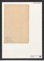 Actinoptychus sp. (de-Toni-Nr.: Genus 227, Species 5568 ?) Zeichnungen Sammlung Grunow (NHMW-BOT-W0379519)